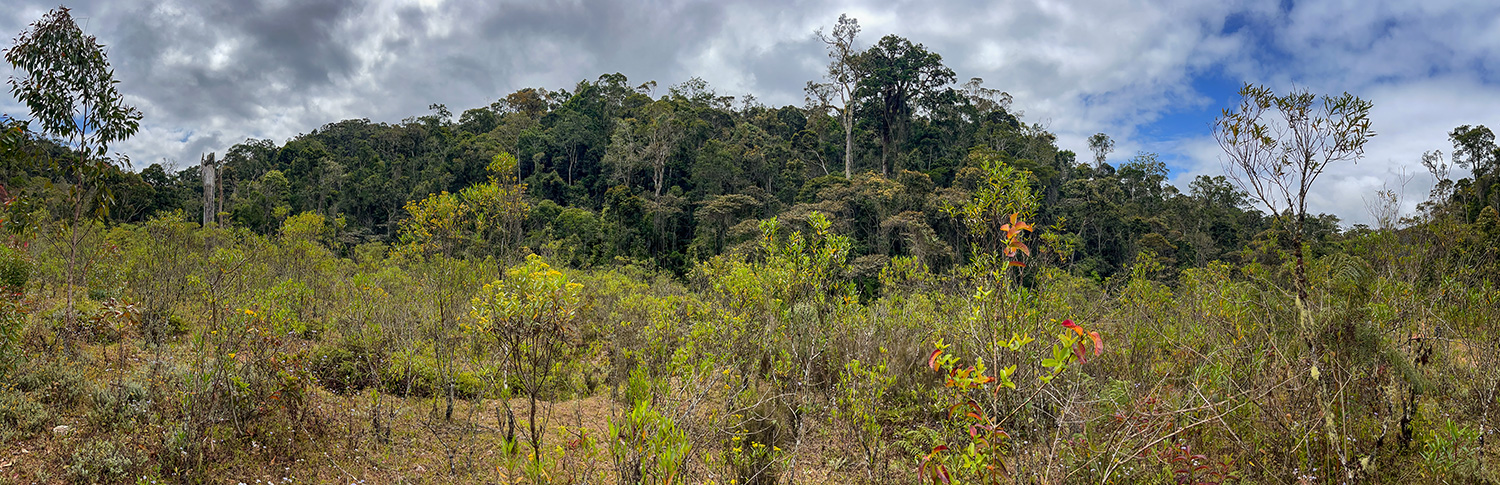 Andasibe, Madagaskar