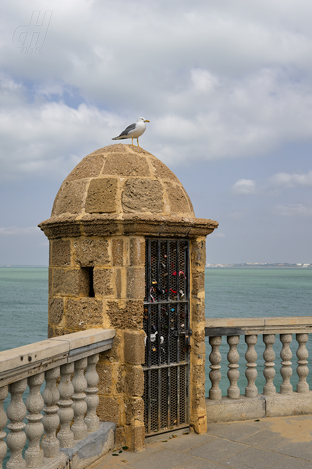Cadiz