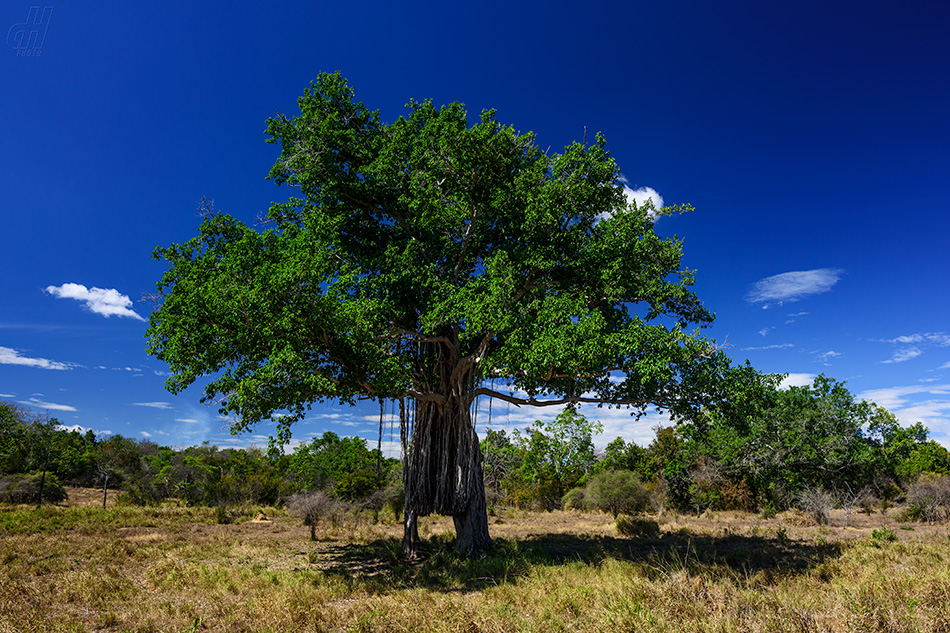 MaduruOya National Park