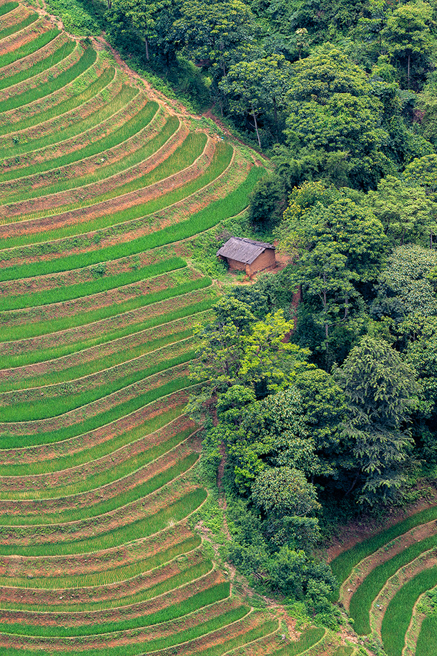 rýžová pole Dong Van
