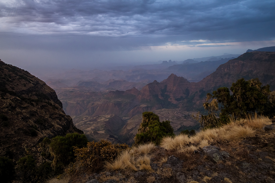 Simien