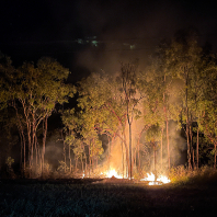 bushfire
