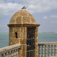 Cadiz