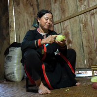 Černí Hmongové, Nguyen Binh