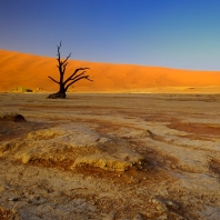 Deadvlei