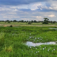 Lake Albert, Uganda