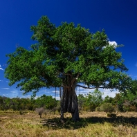MaduruOya National Park