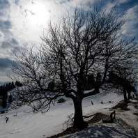 Mt. Rigi