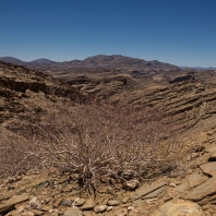 Namib desert