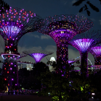 Singapur