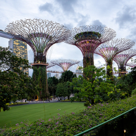 Singapur