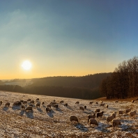 Tlustá hora, Zlín